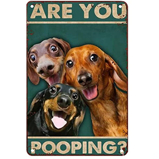 Dachshunds "Are You Pooping" Funny Metal Sign